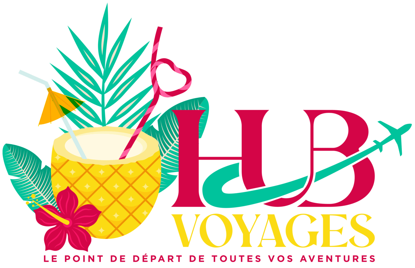 Logo HubVoyages