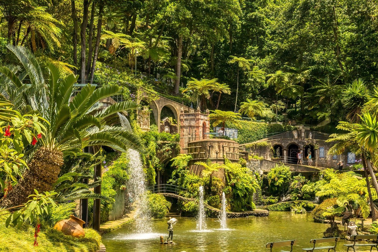 Paysage verdoyant de Madère, avec des fontaines naturelles et des chutes d'eau entourées de végétation luxuriante