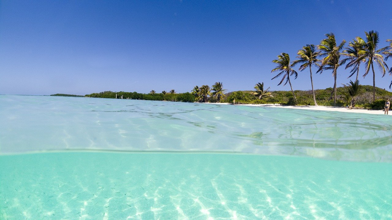 Eau cristalline de Cancún, avec une plage de sable blanc et des palmiers verdoyants en arrière-plan, offrant un paysage paradisiaque typique du Mexique