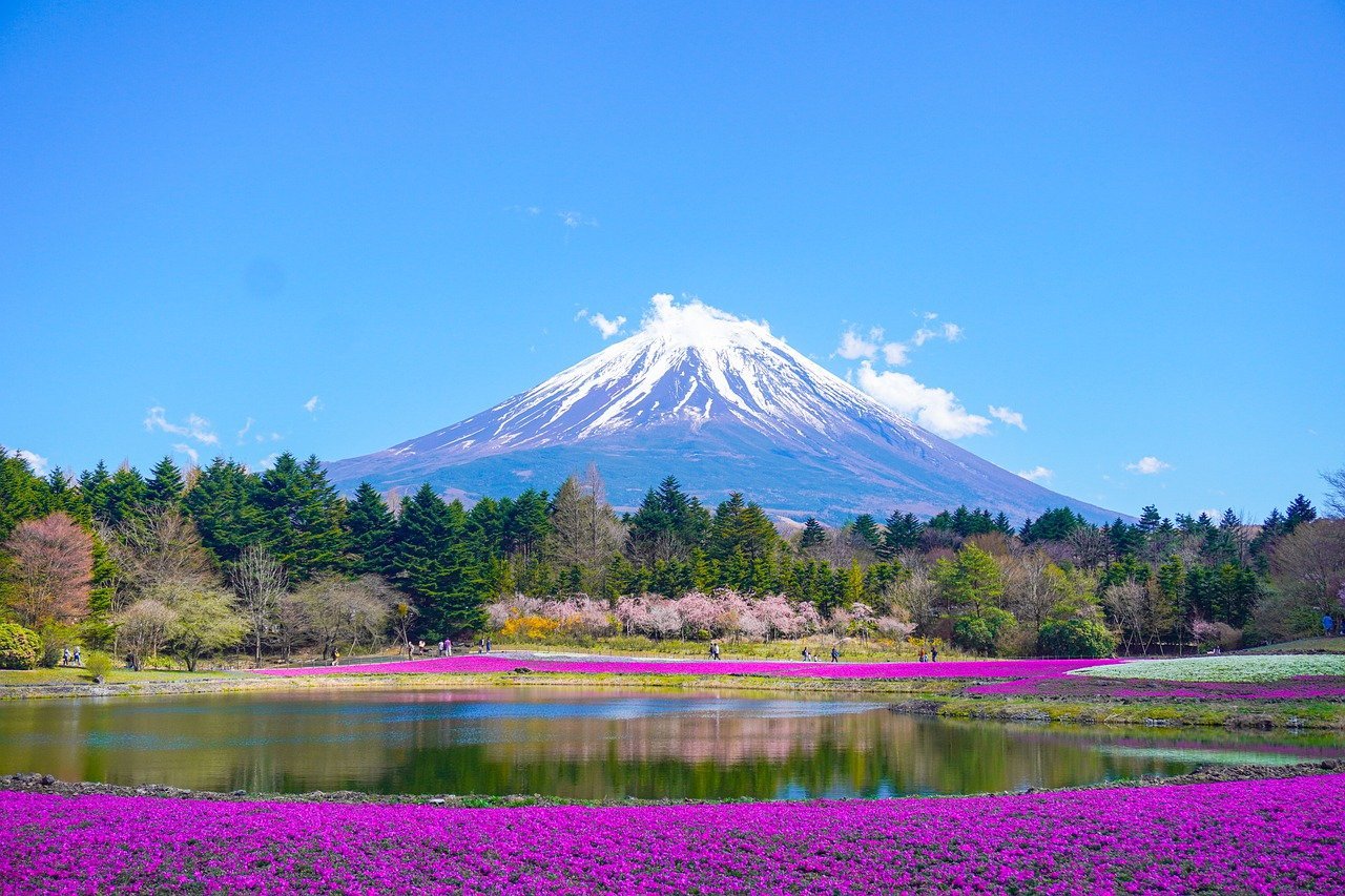 Vue du Mont Fuji avec des fleurs roses au premier plan et un lac paisible en arrière-plan