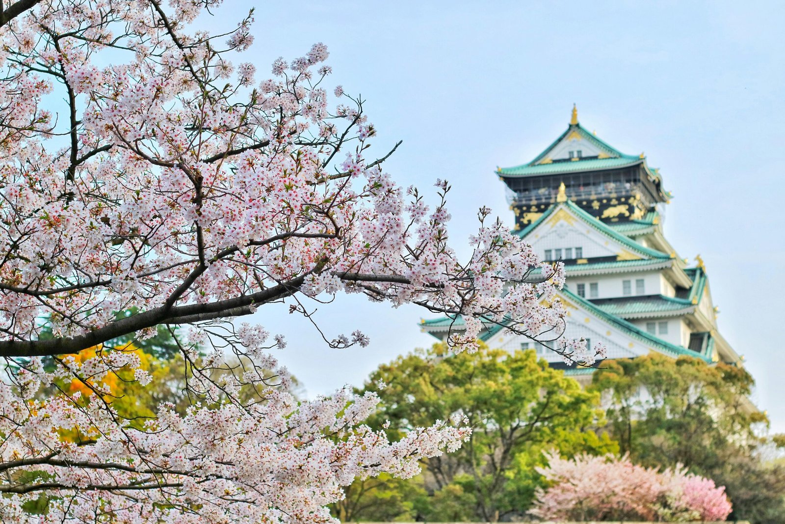 Vue en contre-plongée du temple à Osaka, mettant en valeur l'architecture traditionnelle japonaise