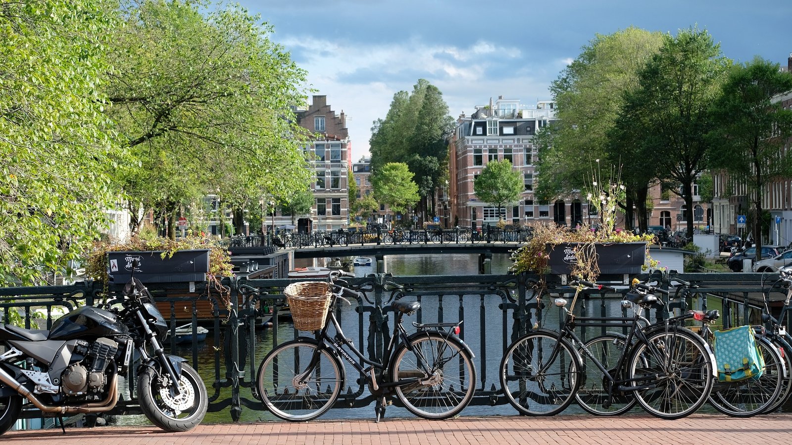 Vue sur un pont emblématique d'Amsterdam avec plusieurs vélos accrochés, entouré de canaux pittoresques et d’architecture hollandaise typique