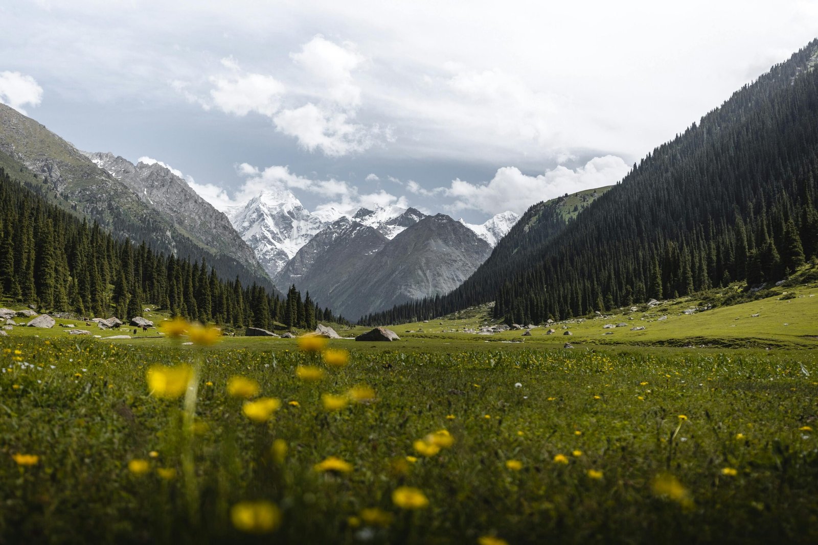 Superbe paysage montagneux du Kirghizistan avec des sommets majestueux, des vallées verdoyantes et une nature sauvage préservée en Asie centrale