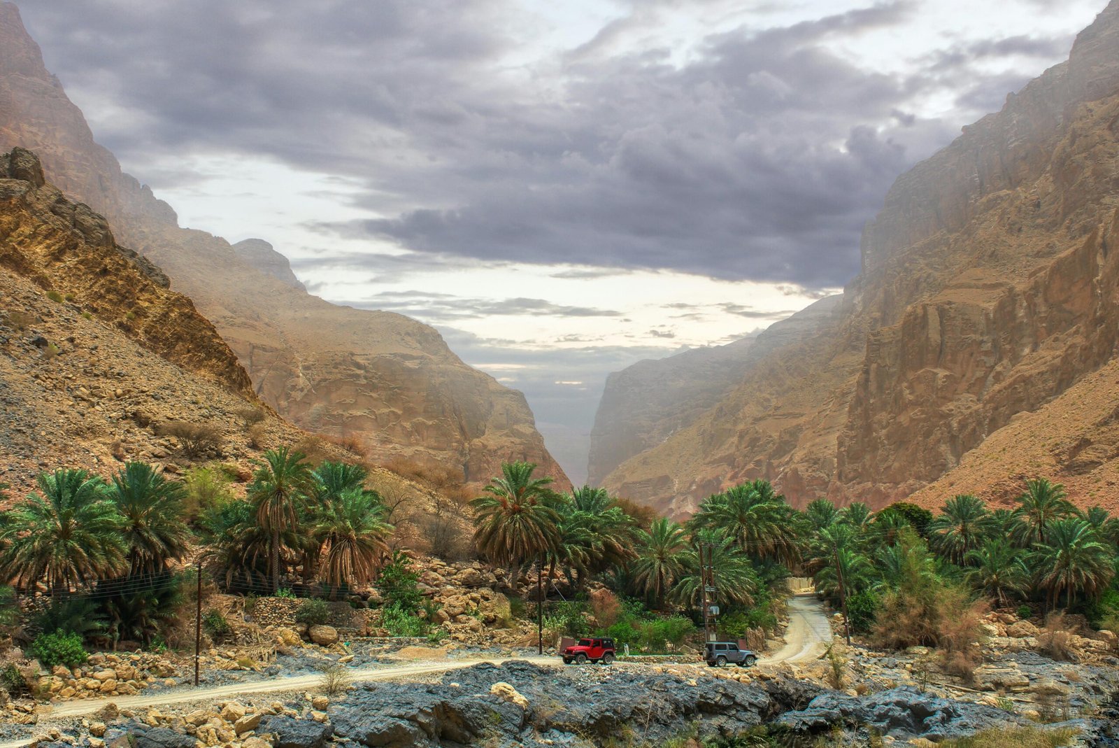 Paysage rocailleux d'Oman avec quelques palmiers, illustrant le contraste entre le désert aride et la végétation oasisique du Moyen-Orient