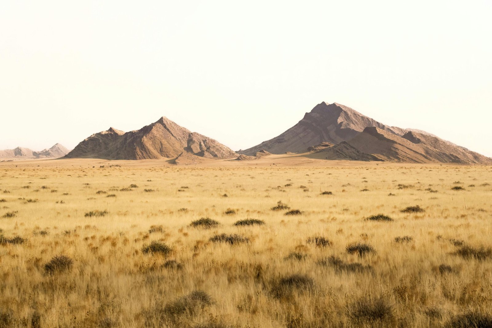 Paysage de la savane namibienne désertique, caractérisé par une étendue aride, une végétation clairsemée et un horizon infini sous un ciel lumineux