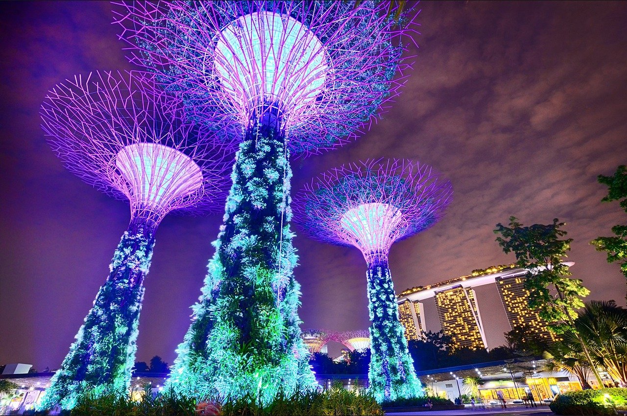 Vue nocturne des Jardins de la Baie à Singapour, illuminés avec les supertrees scintillants et l'horizon urbain en arrière-plan