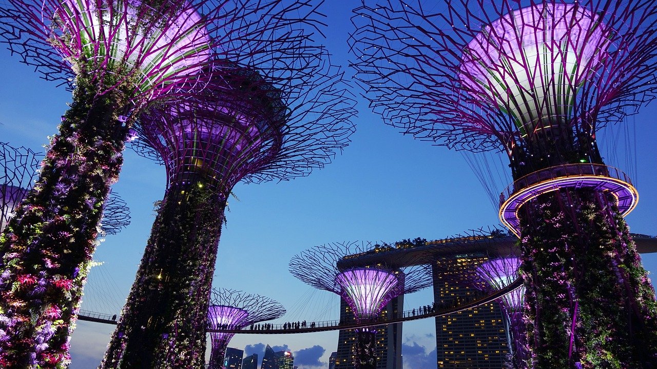 Vue nocturne des Jardins de la Baie à Singapour, illuminés avec les supertrees scintillants et l'horizon urbain en arrière-plan