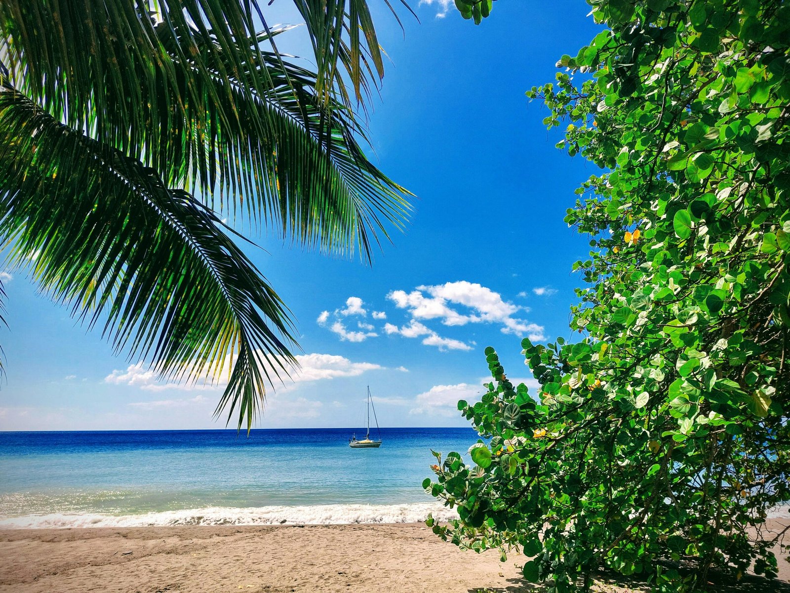 Croisière Caraïbes