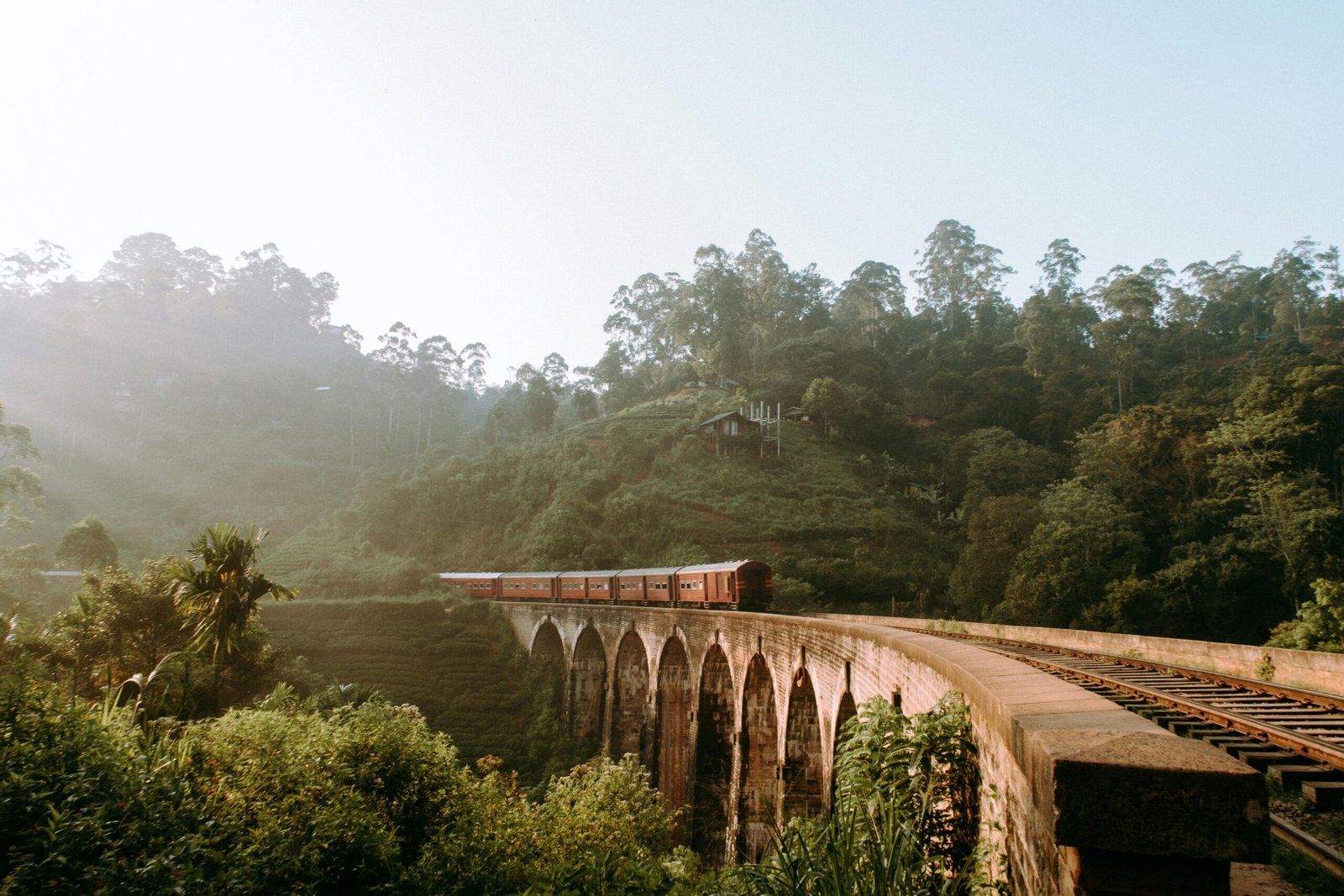 Train traversant les plantations de thé au Sri Lanka lors d’une balade panoramique