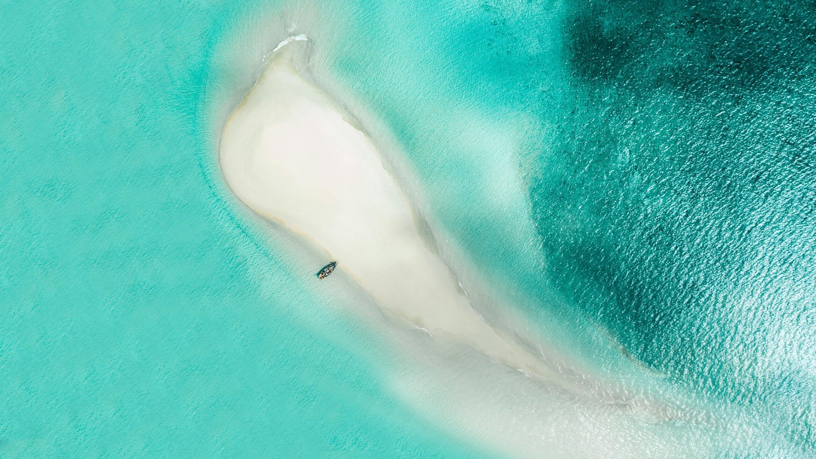 Zanzibar Selous