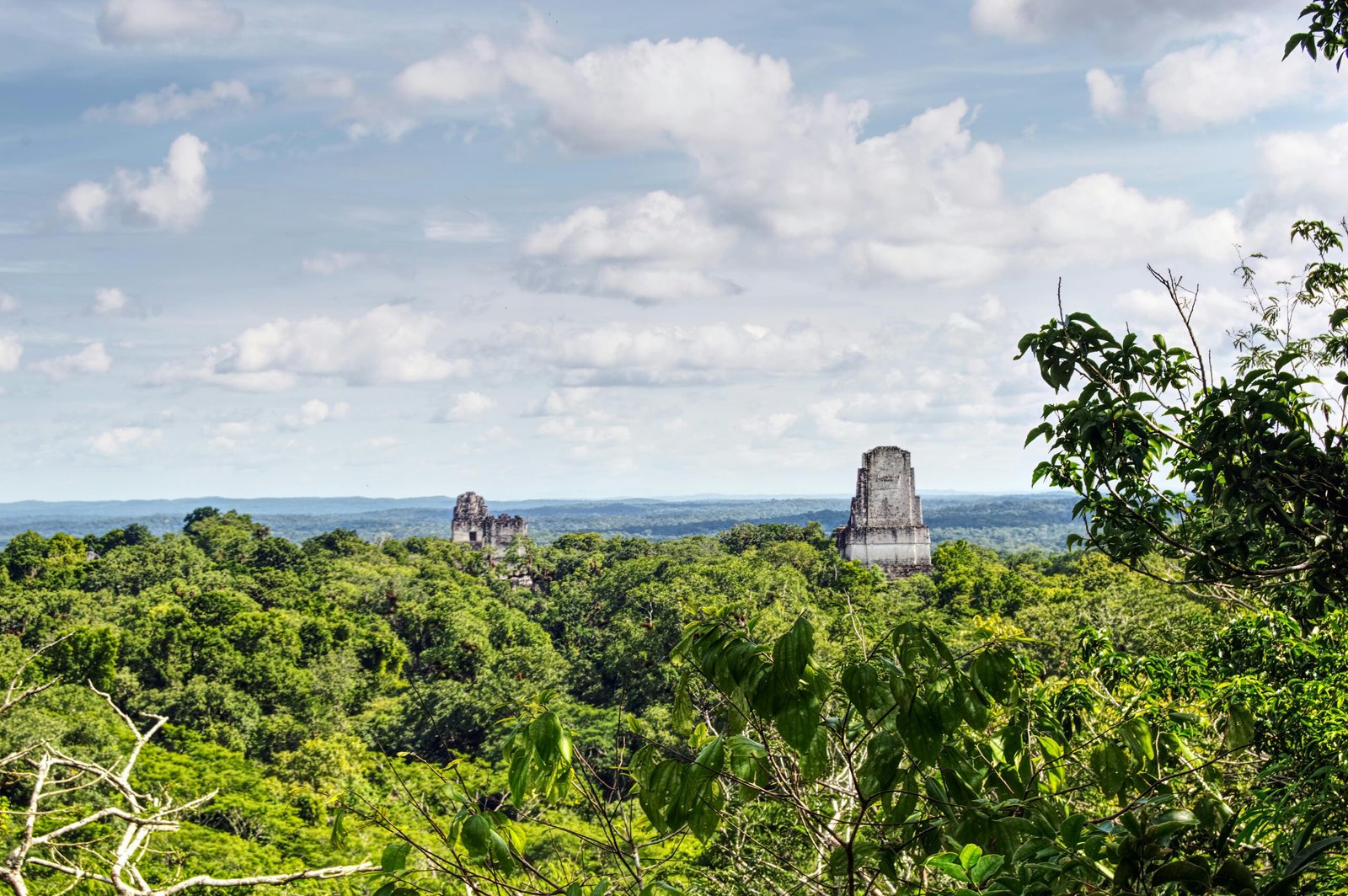 Tikal, Guatemala Vue aérienne sur le site maya de Tikal au Guatemala, ruines antiques au cœur de la jungle