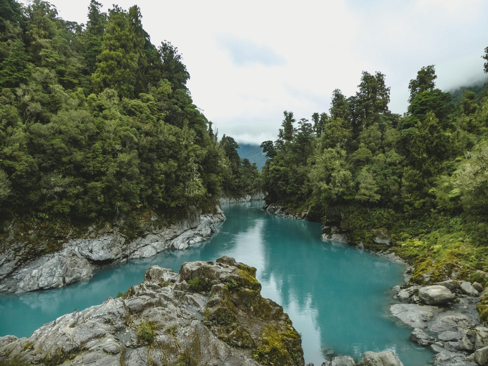 Nouvelle-Zélande Cours d’eau au milieu d’une forêt verdoyante en Nouvelle-Zélande, nature sauvage et préservée